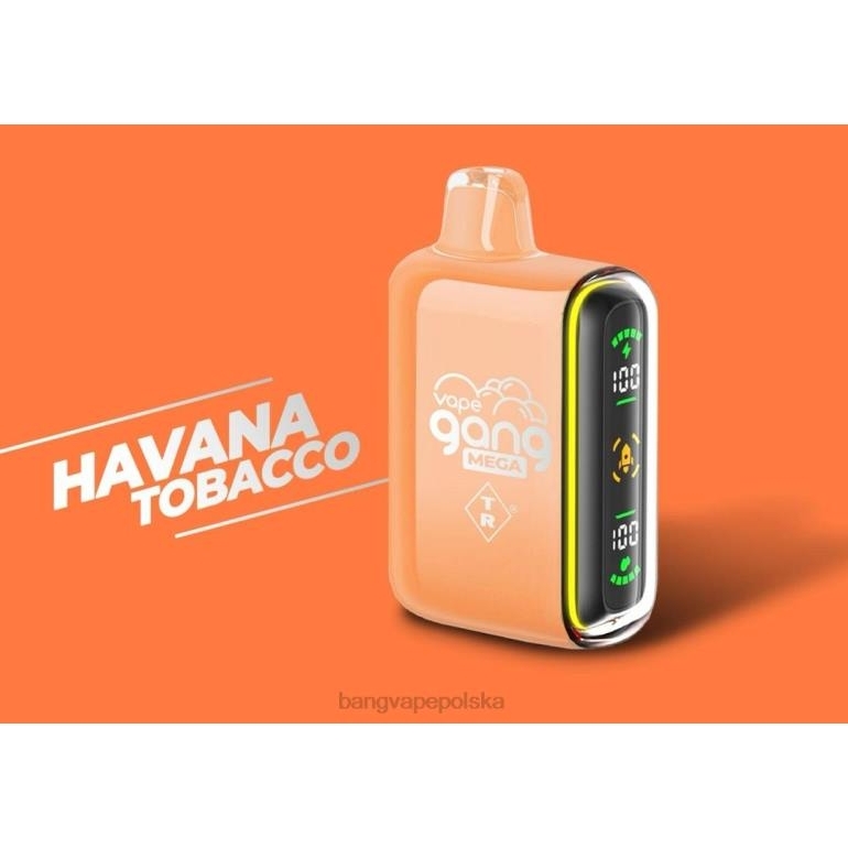 Vape Gang MEGA Jednorazowy waporyzator o pojemności 20 000 zaciągnięć (pudełko po 5 sztuk) tytoń hawański 2DD255 Bang Vape Smaken