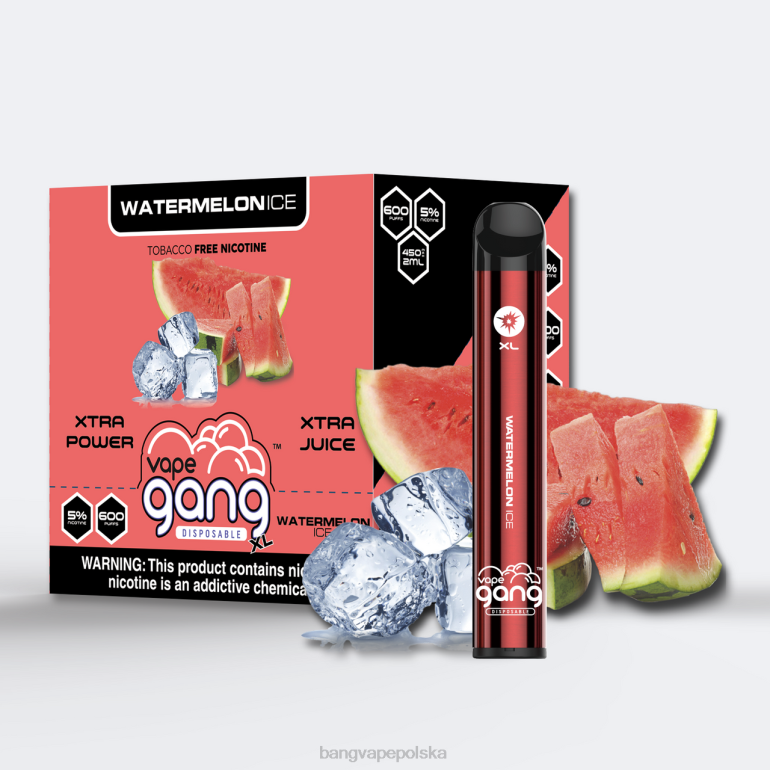 Vape Gang XL jednorazowe waporyzatory 600 zaciągnięć (opakowanie 10 szt.) lód arbuzowy 2DD276 Vape Gang Disposables