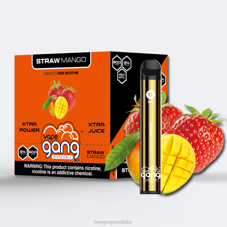 Vape Gang XL jednorazowe waporyzatory 600 zaciągnięć (opakowanie 10 szt.) mango słomkowe 2DD266 Vape Gang Disposables