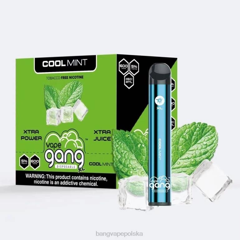 Vape Gang XL jednorazowe waporyzatory 600 zaciągnięć (opakowanie 10 szt.) orzeźwiająca mięta 2DD279 Bang Vape Disposable
