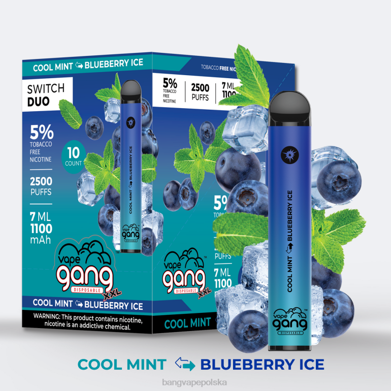 Vape Gang Switch Duo 2 smaki (opakowanie 10 sztuk) chłodna mięta - lód jagodowy 2DD243 Bang Vape Smaken