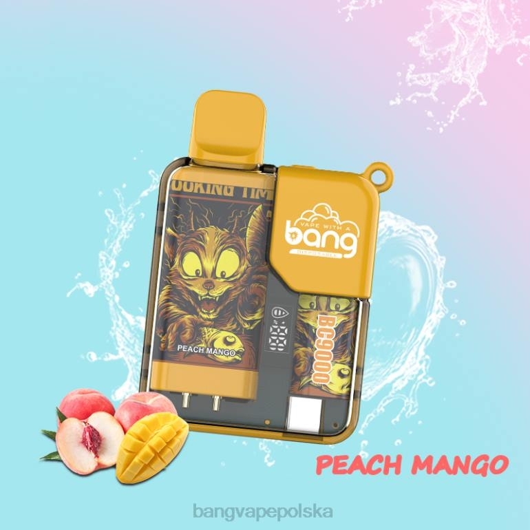 Bang Vape Box BC9000 wstępnie napełnione 16 ml jednorazowe 2DD26 Bang Disposable Vape Review