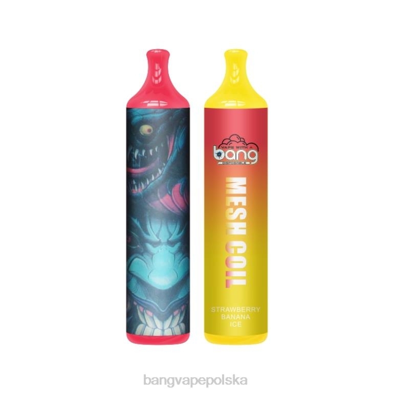 Bang Vape cewka siatkowa 3500 zaciągnięć 2% nic jednorazowe 2DD27 Bang Vape Disposable