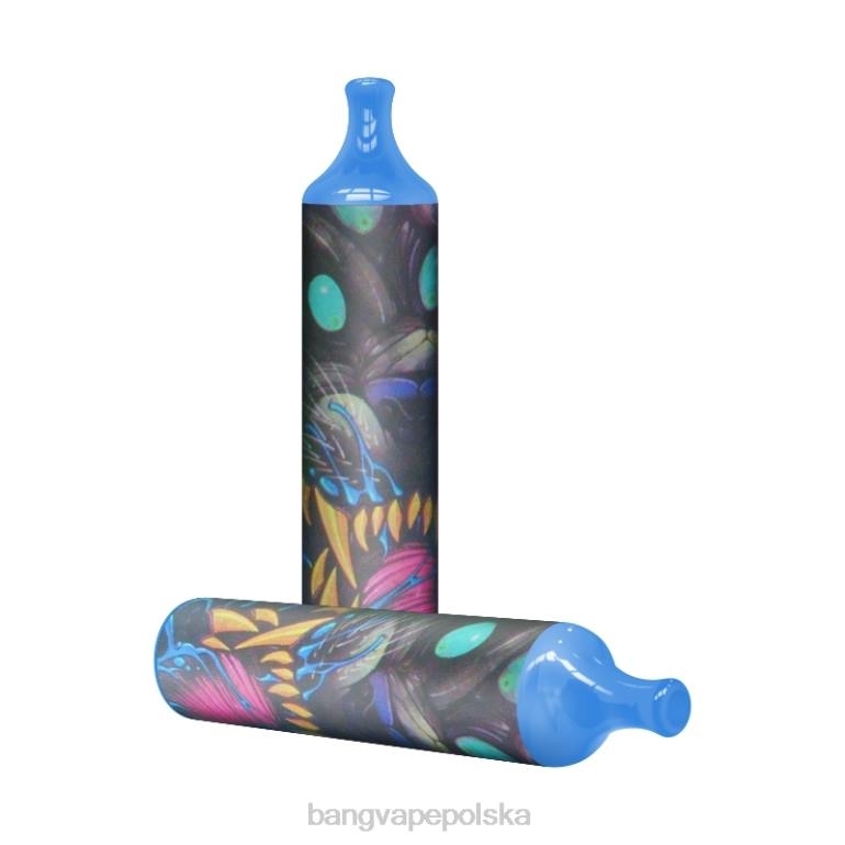Bang Vape cewka siatkowa 3500 zaciągnięć 2% nic jednorazowe 2DD27 Bang Vape Disposable
